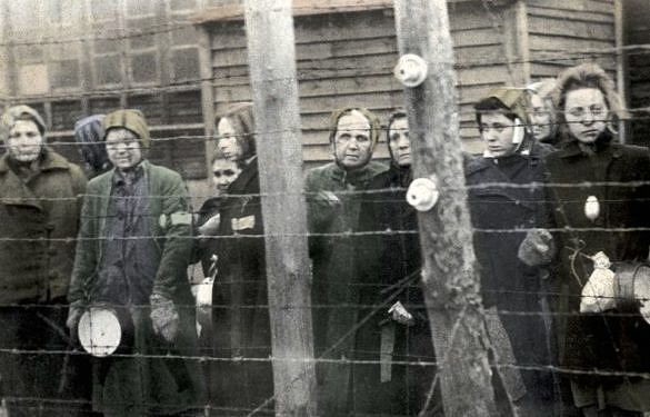 A perseguição contra mulheres queer durante o Holocausto