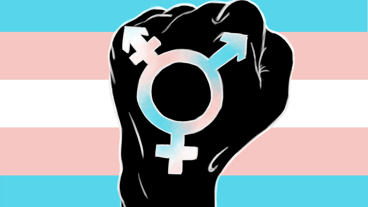 Tasmânia aprova lei histórica de proteção às pessoas trans