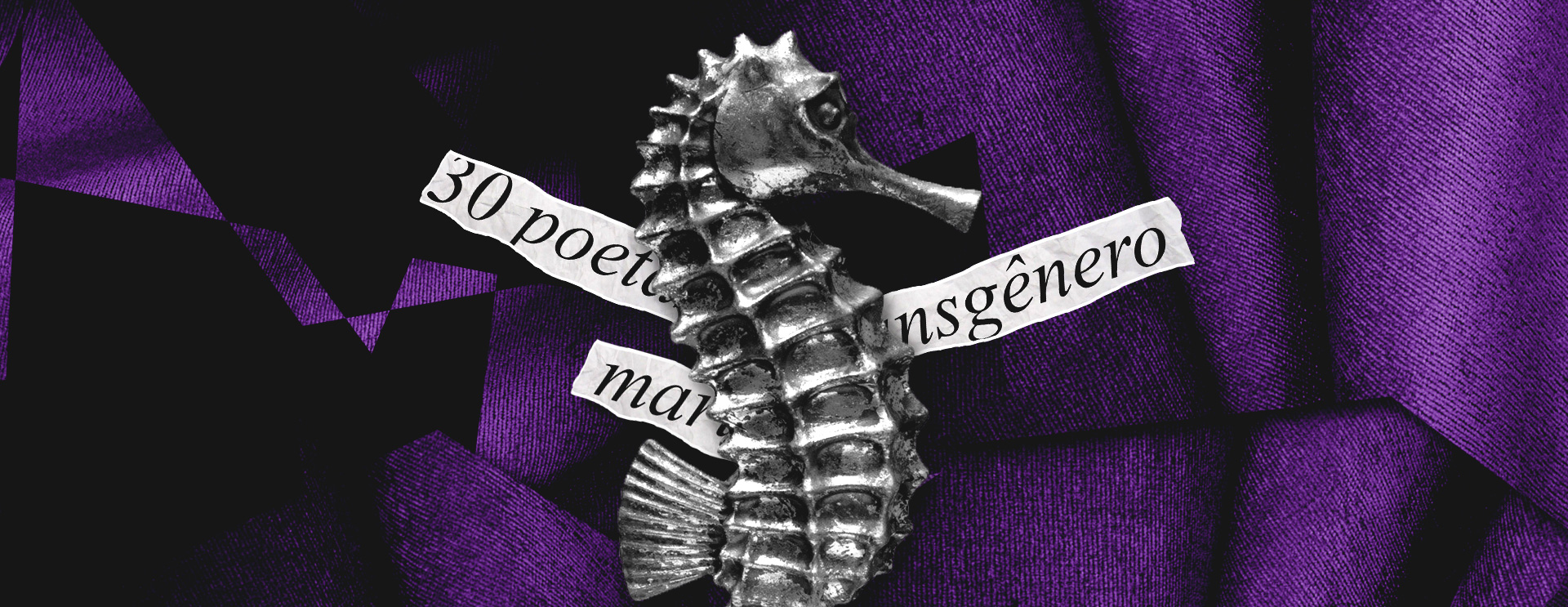 1ª Antologia Trans de poetas trans e não-binários reúne 30 autores (leia aqui) 1ª Antologia Trans de poetas trans e não-binários reúne 30 autores (leia aqui)