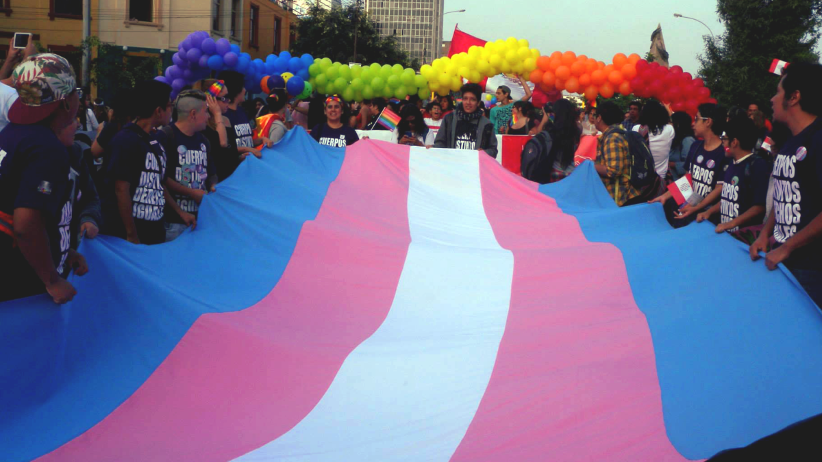 Panamá e Peru violam direitos trans durante quarentena do coronavírus