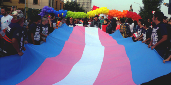 Panamá e Peru violam direitos trans durante quarentena do coronavírus