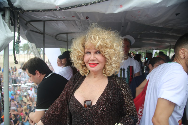 Jane Di Castro durante a Parada do Orgulho LGBTI+ do Rio de Janeiro, em 2018 (Foto: João Ker | Revista Híbrida)